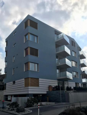 Close to Zürich centre and Airport